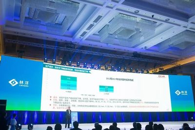 引領N型技術新浪潮，林洋能源發布高效N型單晶雙面組件