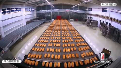 PLC編程控制 賦能食品生產線自動化，驅動企業管理升級
